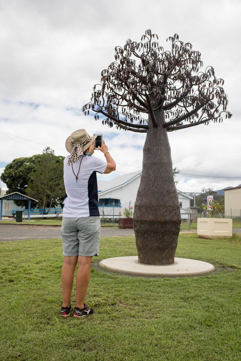 biggenden bottle tree steel 